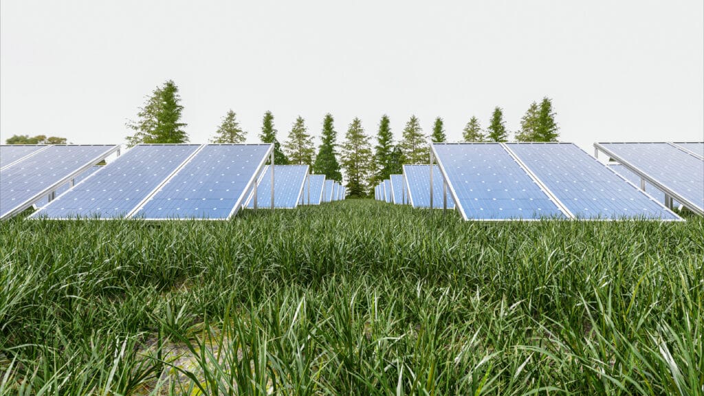 Benefícios da energia solar para o agronegócio